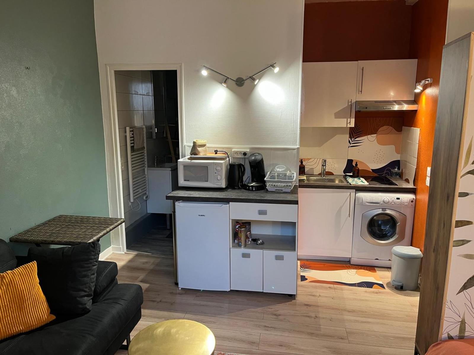 Studio Cosy En Coeur De Ville Pau Kültér fotó